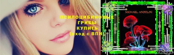 2c-b Алексин