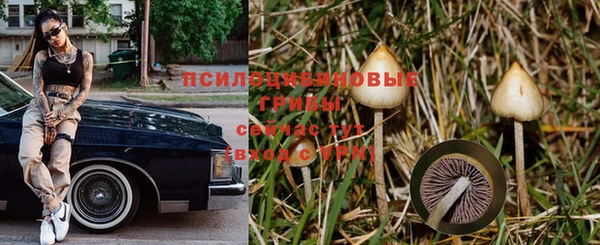 2c-b Алексин