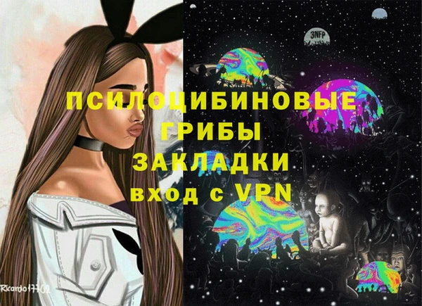 винт Алзамай