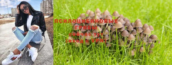 2c-b Алексин