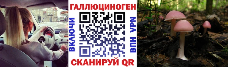 Псилоцибиновые грибы MAGIC MUSHROOMS Урюпинск